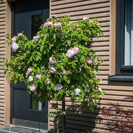 Сasa de vacaciones Deine Genuss-auszeit Asendorf (Harburg)