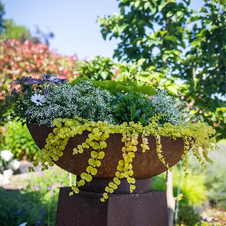 Сasa de vacaciones Deine Genuss-auszeit