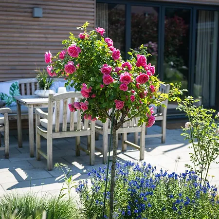 Deine Genuss-auszeit בית נופש *