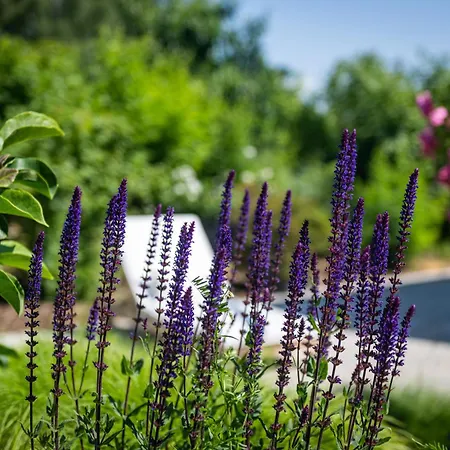 Deine Genuss-auszeit * Asendorf (Harburg)